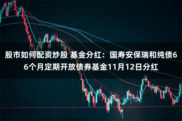 股市如何配资炒股 基金分红：国寿安保瑞和纯债66个月定期开放债券基金11月12日分红