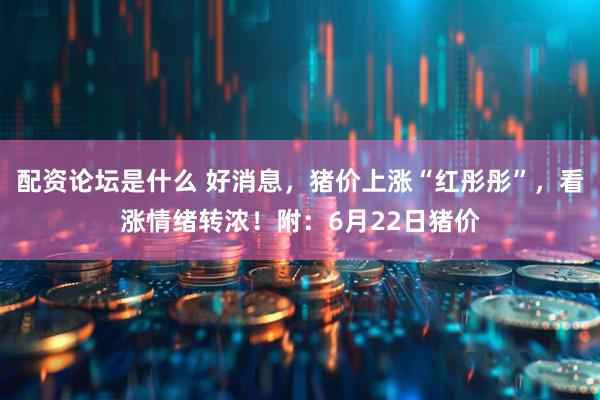 配资论坛是什么 好消息，猪价上涨“红彤彤”，看涨情绪转浓！附：6月22日猪价